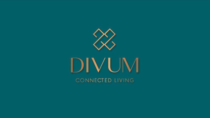 Dynamix Divum